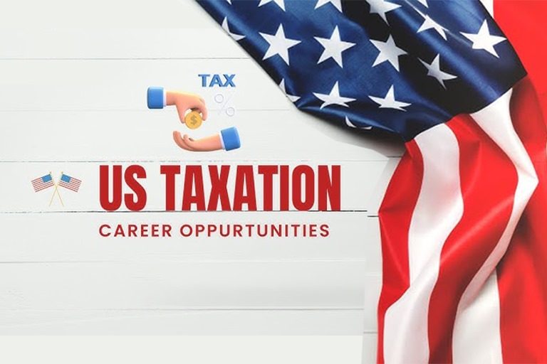 USA Tax Preparer/LLC Formation